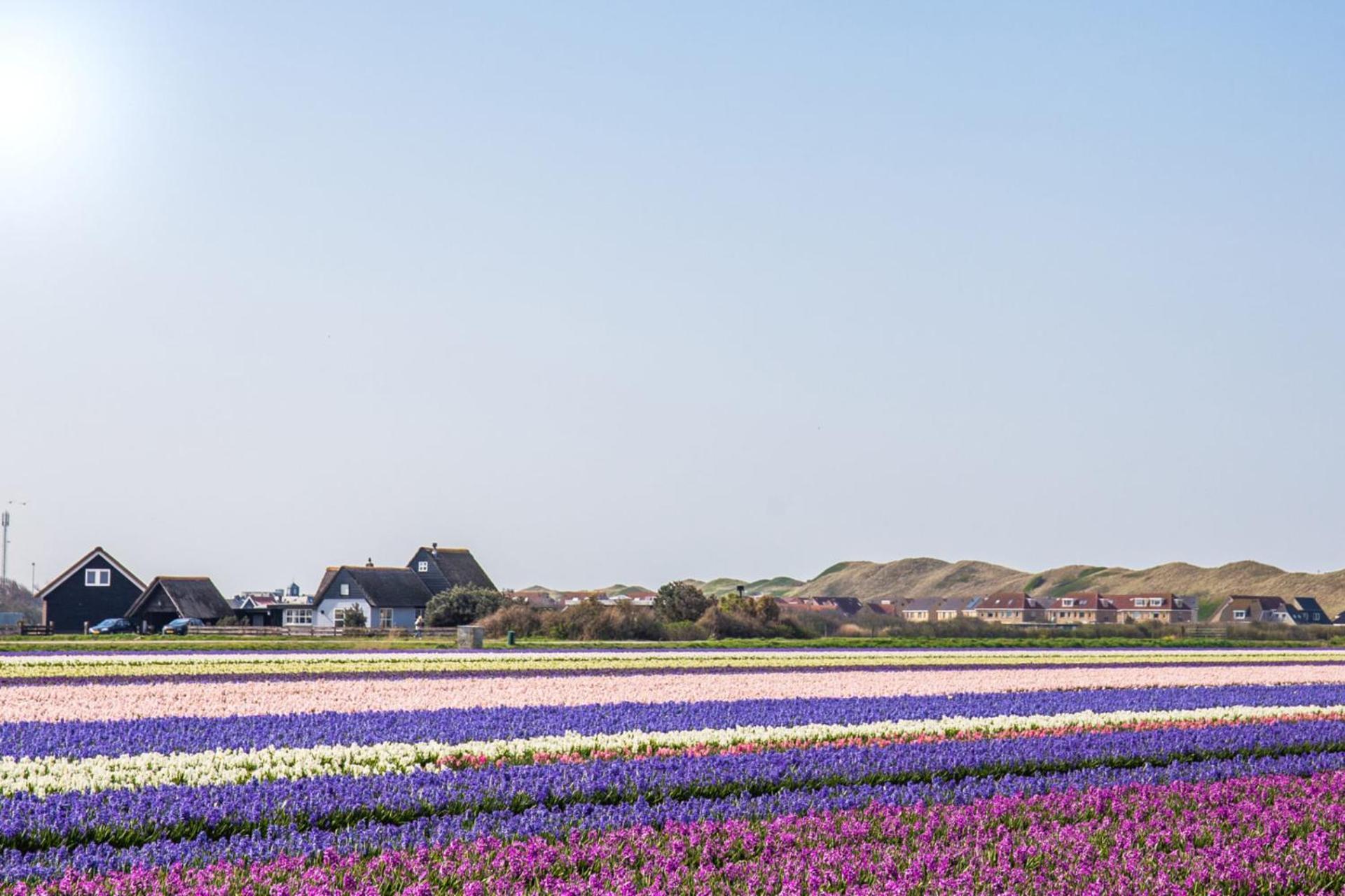 Beach Appartement 17 - Aan De Duinen, Callantsoog Aan Zee Eksteriør billede