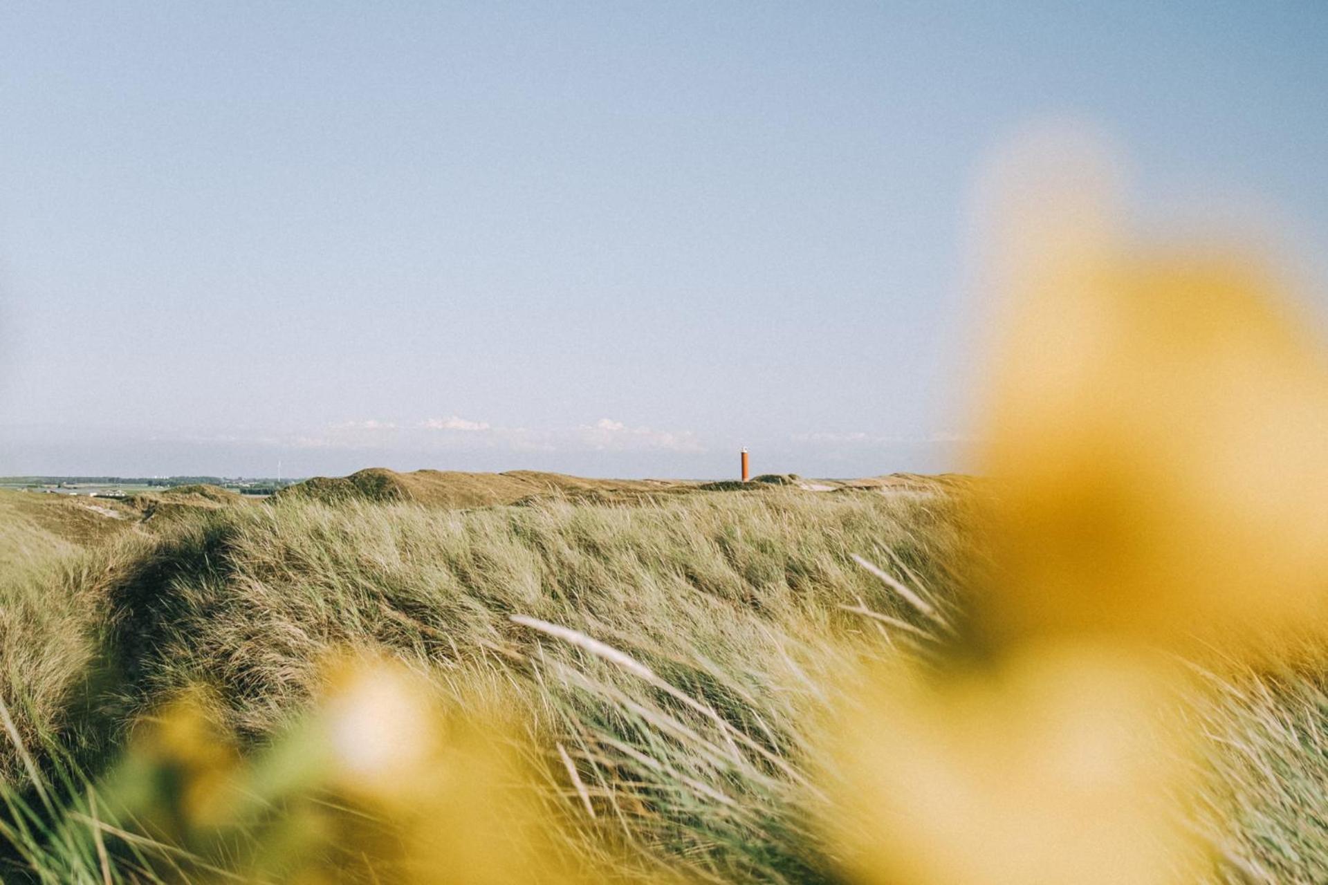 Beach Appartement 17 - Aan De Duinen, Callantsoog Aan Zee Eksteriør billede